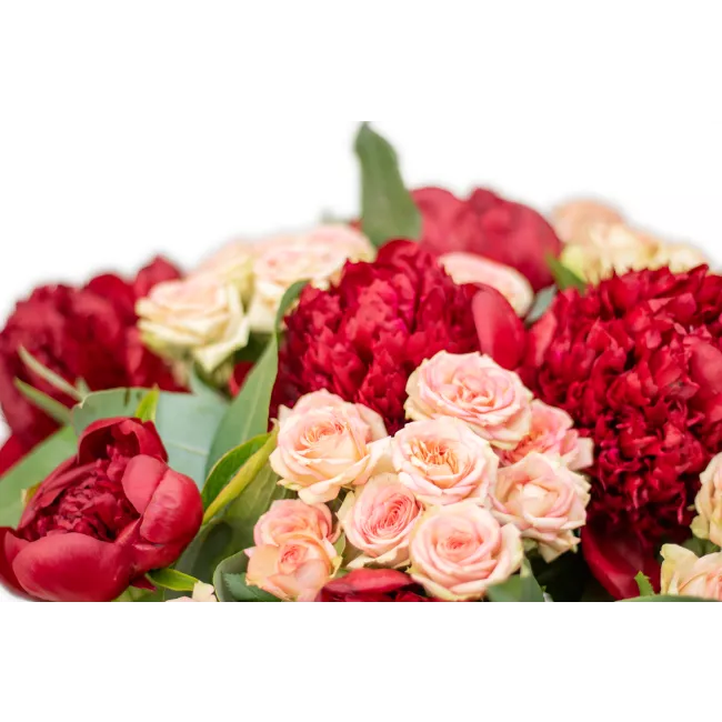 Bouquet of peonies